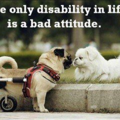 Attitude Is Everything