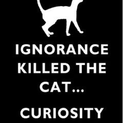 Curiosity Didn’t Kill The Cat, In Fact It Found Him Lots Of Tuna