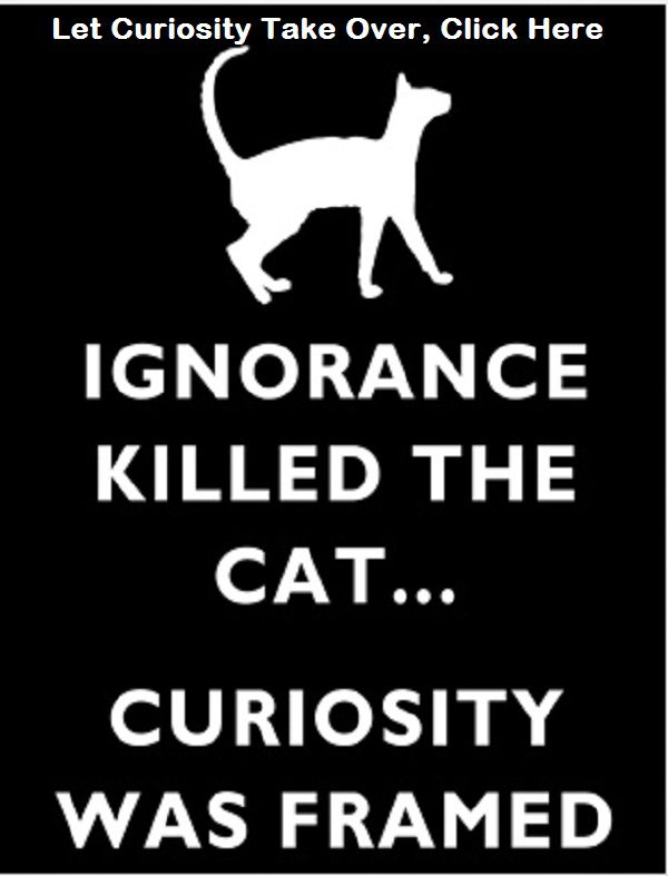 Curiosity Didn't Kill The Cat, In Fact It Found Him Lots Of Tuna