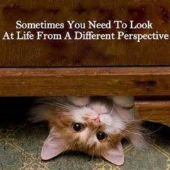 Perspective Can Change Your Life