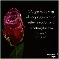 Emotions Are Poisoned By Anger