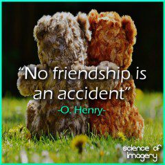 Friendship Is Never An Accident