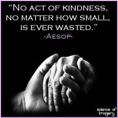 Kindness Is Never Wasted