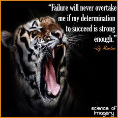 Rise Above Failure