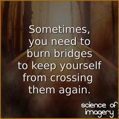 Sometimes Burning Bridges Is The Best Option