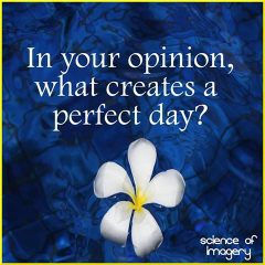 What Creates A Perfect Day?