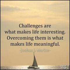 Challenges Make Life Interesting