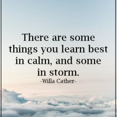 Life’s Storms Create Lessons And Strength